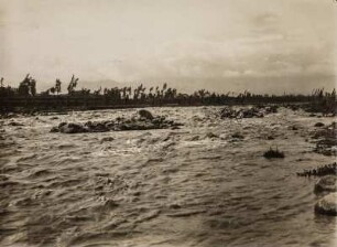 Rio São Francisco (Sammlung Richard Wegner 1869/1931)