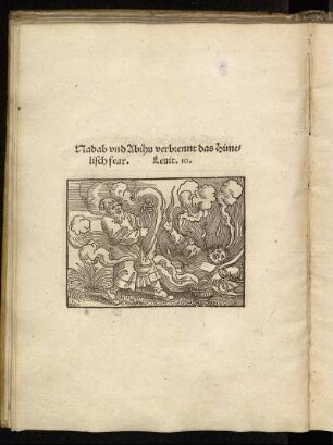 [Abbildung zu Leviticus 10]