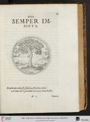 XVII. Semper immota