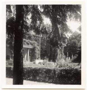 Garten Dr. Voss: Terrasse Sommergarten