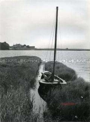 Fischerboot im Schilf auf der Ostseeinsel Hiddensee