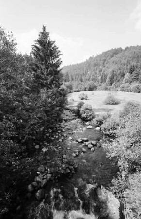 Wilfingen