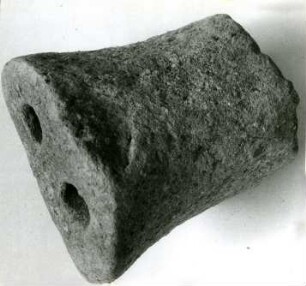 Fragment einer Schweineschnauze