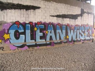 CLEAN WiSE!