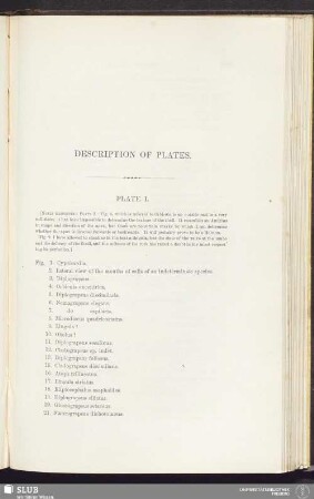 Description of plates