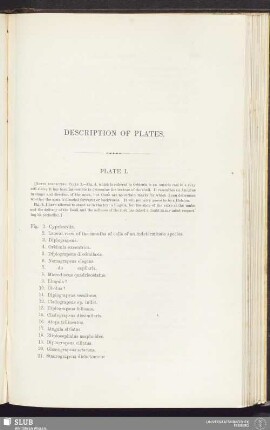 Description of plates