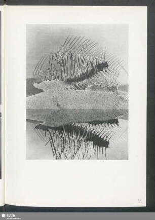 Friedhof der Fische