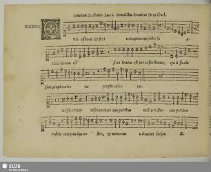 XXXVII. Anonymus: Benedictus Dominus Deus Israel