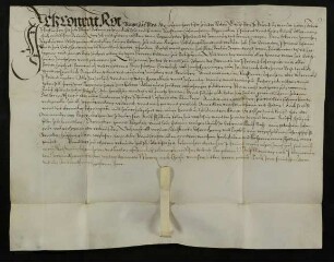 Conrat Roth, Bürger zu Ulm als Lehenherr der von der Familie Roth gestifteten Pfründ in der Pfarrkirche in Ulm verleiht dem ehrbaren Hanns Nägelin von Erbißhoenn (Erbishofen, Krs. Neu-Ulm) als Erblehen das Gut der genannten Pfründe zu Erbishofen. Abgaben: Weiterer Inhalt wie Urk. (28