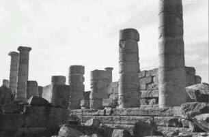 Reisefotos Libyen. Kyrene, antike griechische Stadt. Säulen