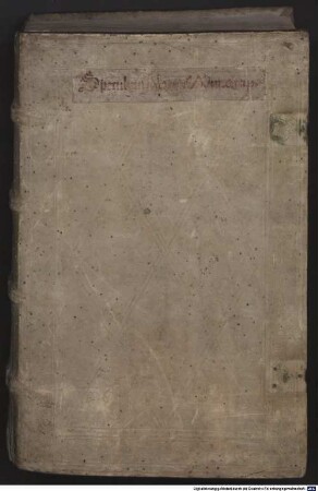 Speculum naturale Vincentii