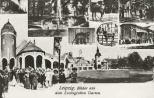 Leipzig: Bilder aus dem Zoologischen Garten [Historische Postkarte aus dem Leipziger Zoo]