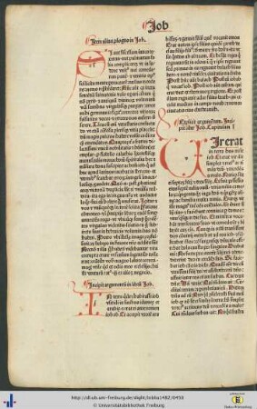 Argumentum in librum Job