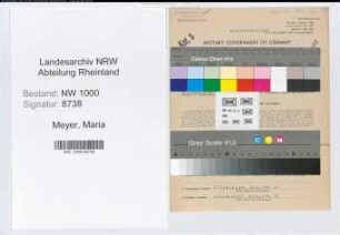 Entnazifizierung Maria Meyer, geb. 01.12.1901 (Postsekretaerin)
