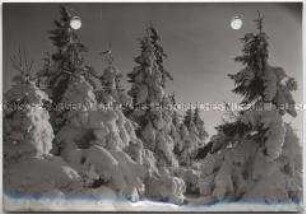 Winterlandschaft
