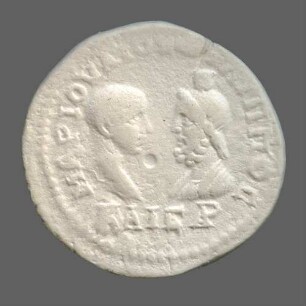 cn coin 7982 (Mesembria)