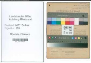 Entnazifizierung Clemens Doemer , geb. 14.02.1902 (Landwirt)