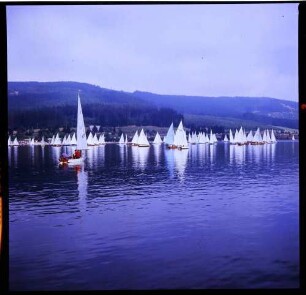 Schluchsee: Segelregatta, Start der Regattaboote