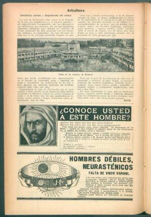 Avicultura : Industrias anexas.- Explotación del conejo