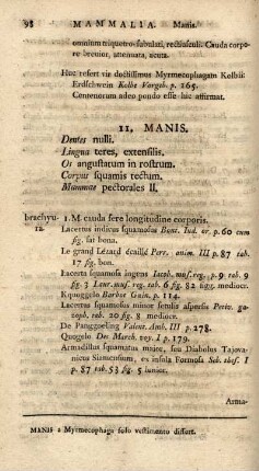 11. Manis