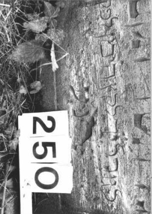 Grabstein 250 (Detailaufnahme)
