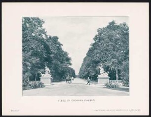 Bildtafel "Allee im Großen Garten". Hauptallee mit den zwei Raptusgrppen Nessos raubt Deïaneira sowie Eurytion raubt Hippodamia von A. Corradini