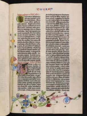 Hieronymus: Prologus in librum Tobiae et Liber Tobiae