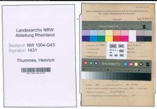 Entnazifizierung Heinrich Thummes , geb. 10.10.1904 (Buchhalter)