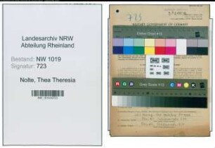 Entnazifizierung Thea Theresia Nolte , geb. 20.01.1913 (Studienassessorin)