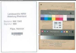 Entnazifizierung Heinrich Pape , geb. 15.03.1904 (Dozent)
