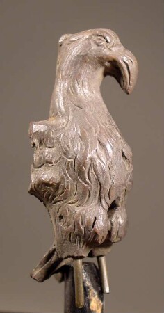 Vorderteil eines Geiers (modern)