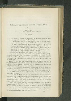 Ueber die sogenannten doppellendigen Rinder