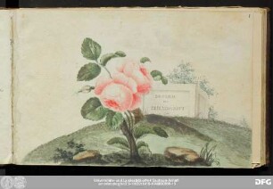 Denkmal der Freundschaft : Stammbuch Caroline Sachse