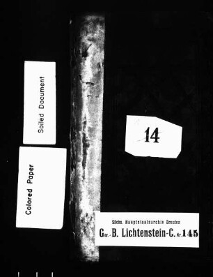 Gerichtshandelsbuch von Rödlitz, Bd. 2
