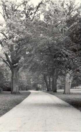 Schlosspark in Bad Muskau : Mužakowski park