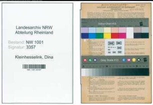 Entnazifizierung Dina Kleinhesselink, geb. 31.01.1881 (Kauffrau)