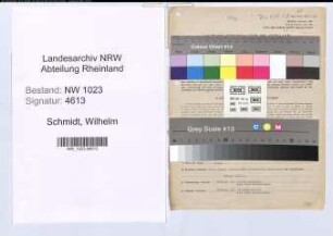 Entnazifizierung Wilhelm Schmidt , geb. 25.04.1894 (Kaufmann)