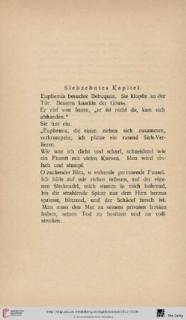Siebzehntes Kapitel
