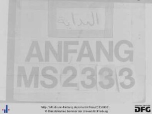 MF Mau 2333