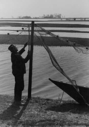 Oberelbe. Fischer bei der Prüfung seiner Netze; 1940