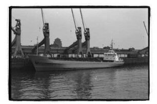 Argus ex Nopal Argus (1970), Frachtschiff, J. Thode, Hamburg, Bau-Nr. 207
