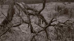 Ohne Titel