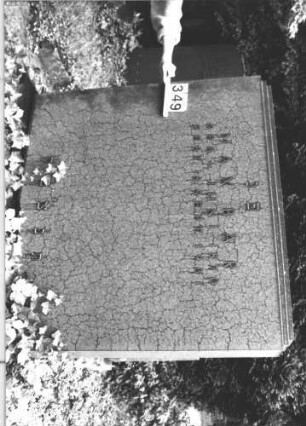 Grabstein 349 (Index: 100081544) Material: Granit Zustand: gut Maße HxBxT: 145x144x30 cm Beschreibung: Stele, breit, getreppter abschluß: Grabstein 349