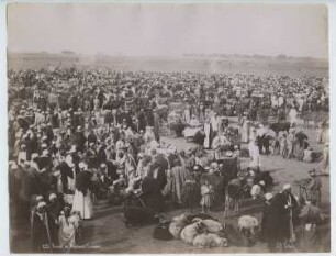 Schaafmarkt, Ägypten: Ansicht