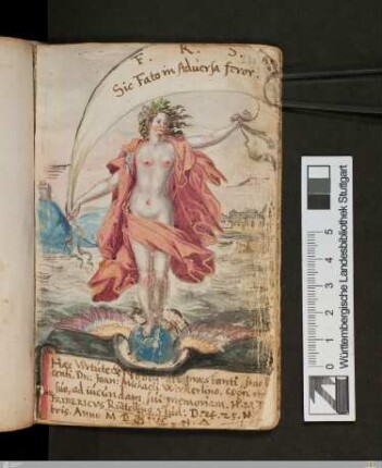 Friedrich Rüttel, Eintrag und Illustration