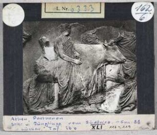 Athen, Parthenon: Süd-Fries XLI, Stier und Jünglinge CXVI-CXIX