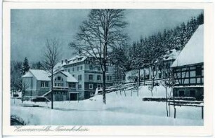 Neunzahnhain. Hammermühle im Winter