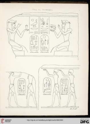 Plate I - XXVI