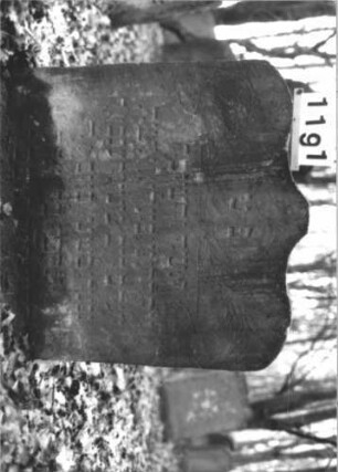 Grabstein 1191 (Index: 99899941) Material: Sandstein Zustand: stark verwittert, etwas eingesunken Maße HxBxT: 83x83x8 cm Beschreibung: Stele mit geschwungenem Schulterbogenabschluss, im Bogenfeld Ranken (Palmzweige?), etwas eingesunken Symbolik: Ranken oder Palmzweige: Grabstein 1191 (Nachholaufnahme)