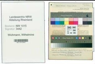 Entnazifizierung Wilhelmine Wichmann , geb. 19.04.1909 (Studienraetin)